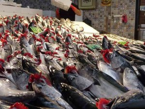 Balıkçılar Palamutun Ardından Hamsinin Yolunu Gözlüyor