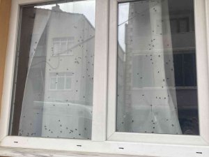 Büyükçekmece’de Polisi Harekete Geçiren ‘Sinekli Ev’