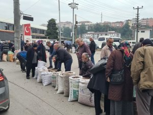 Türkiye’nin Dört Bir Yanından ’Alaplı Kuzusu’ Almak İçin İlçeye Akın Ettiler