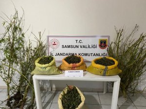Samsun’da 25 Kilo 750 Gram Kubar Esrar Ele Geçirildi