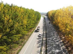 Karayolunda Sonbahar Koridoru