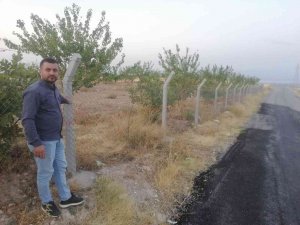 Kayısı Üreticisinin Başı Tel Örgü Hırsızlarıyla Dertte