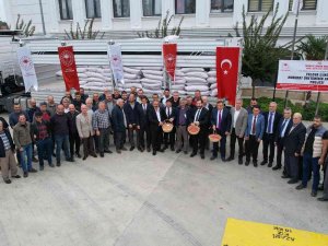 Yalovalı Çiftçilere 135 Ton Buğday Ve Arpa Tohumu Dağıtıldı