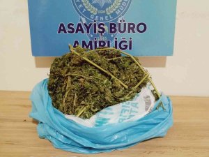 Evinde Uyuşturucu Bulunan Kadın Gözaltına Alındı