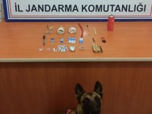 Jandarma’nın Detektör Köpeği Uyuşturucuya Geçit Vermedi
