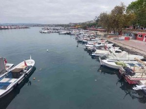 10 Günlük Esaret Bitti: Şimdi De Yunuslarla Başları Belada