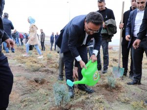 Erciyes Lavantayla Renkleniyor