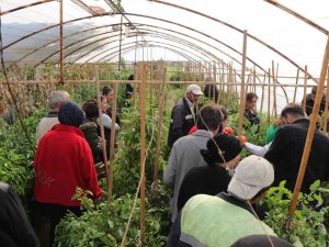 Safranbolu Belediyesi’nden Üretime Destek Kursu