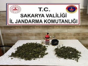 Jandarmadan Uyuşturucuya Geçit Yok: 1 Gözaltı