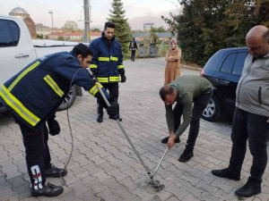 Eve Giren Yılanı İtfaiye Ve Dkmp Ekipleri Çıkardı