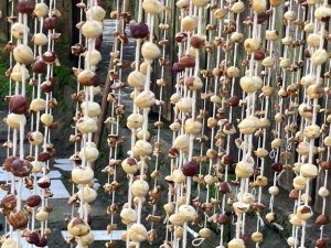 Arhavi’de Kadınlar İmece Usulü Köme Pestil Yapımına Başladı