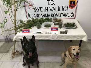 Yakalama Kararı Olan Şüpheli Yenipazar’da Yakalandı