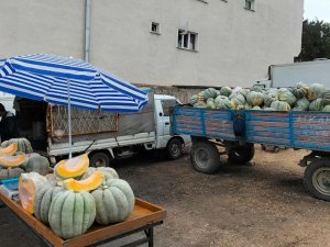 Mihalıççık’ta 30 Kiloluk Dev Balkabaklarına İlgi Yoğun