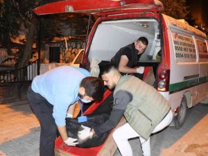 Yaşadığı Dairede Babası Tarafından Ölü Bulundu