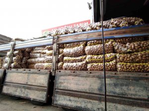 Halde Patates Ve Soğan Bolluğu