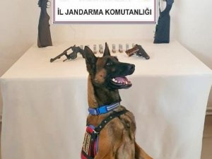 Kars’ta Jandarma 2 Tüfek, 4 Tabanca Ele Geçirdi