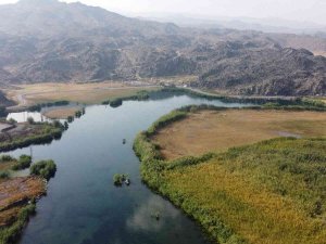 Ağrı Dağı Milli Parkı’nda Sonbahar Güzelliği