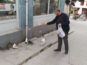 Her Sabah İş Yerini Açmadan Sokak Kedilerini Besliyor