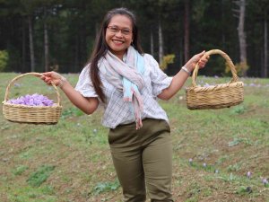 Dünyanın Her Yerinden Safran Görmeye Geliyorlar