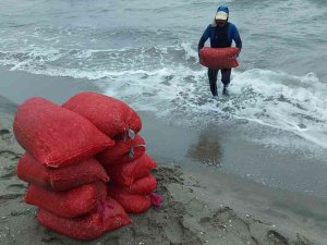 Bursa’da 2 Ton Kaçak Midye Ele Geçirildi