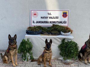 Hatay’da Uyuşturucu Operasyonunda 4 Kişi Gözaltına Alındı