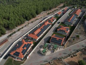 Büyükşehir Can Dostların Enerjisini Güneşten Üretecek