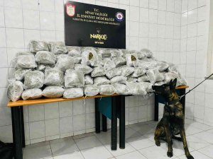 Sivas’ta Uyuşturucu Tacirlerine Darbe