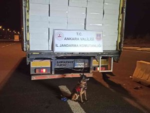 Ankara’da 21 Milyonu Aşkın Bandrolsüz Makaron Ele Geçirildi