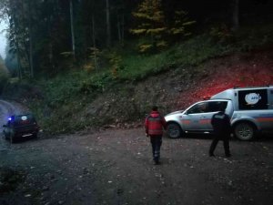 Mantar Aramak İçin Girdikleri Ormanda Kayboldular