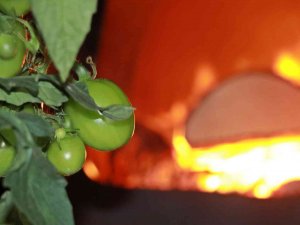 Erzincan, Bayburt, Erzurum Ve Ardahan İçin Zirai Don Uyarısı