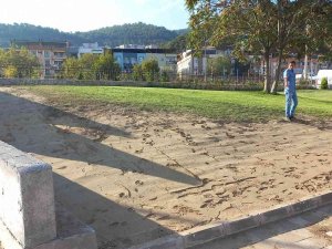 Soma Belediyesi İlçeyi Yeşillendiriyor