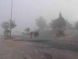 Kilis’te Yoğun Sis