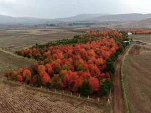 Bozkır Tuvale Dönüştü, Oluşan Manzara Mest Etti