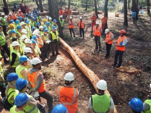Muğla Orman Bölge Müdürlüğü’nde Üretim Tatbikatı