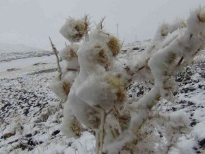 Kars’a Mevsimin İlk Karı Yağdı