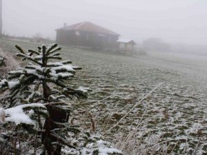 Ordu’ya Mevsimin İlk Karı Yağdı
