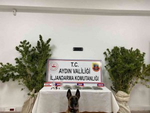 Jandarma Ekiplerinden Uyuşturucu Operasyonu: 1 Tutuklama
