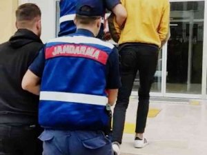 Hırsızlar Jandarmadan Kaçamadı