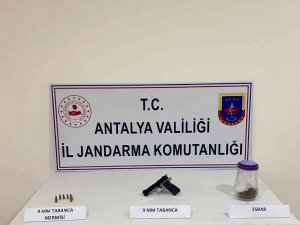 Jandarmadan Uyuşturucu Baskını