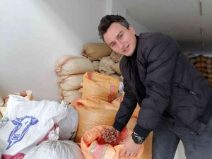 Fındık Fiyatı 47 Liralarda Dengelendi