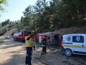 Antalya’da Orman Yangını Büyümeden Söndürüldü