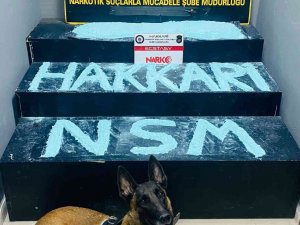 Hakkari’de 5 Kilo Ecstasy Maddesi Ele Geçirildi