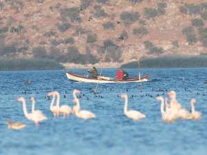 Tabiat Parkı’nda Ava 21 Bin Lira Ceza