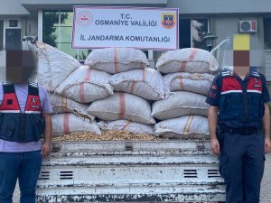 Fıstık Hırsızları Jandarmadan Kaçamadı