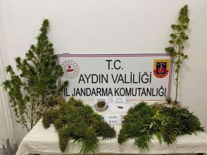 Yenipazar’da Uyuşturucu Baskını
