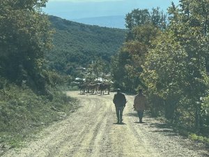 Kaybettiği Hayvanları Jandarma Buldu