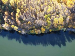 Adeta Canlı Bir Yağlı Boya Tablosu: "Karagöl"