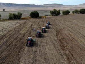 Türkiye’nin Tritikale İhtiyacının Yüzde 50’si Sivas’ta Üretiliyor