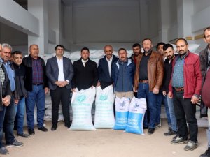 Tercan’da 515 Çiftçiye Yüzde 75 Hibeyle 70 Ton Güzlük Buğday Ve 50 Ton Arpa Dağıtımı Yapıldı