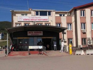 Dağdan Toplanan Mantarlar Bir Aileyi Hastanelik Etti